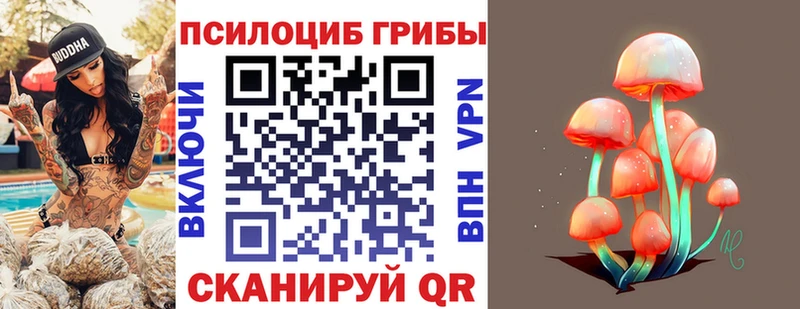 Купить закладки  Дно  Псилоцибиновые грибы Cubensis 